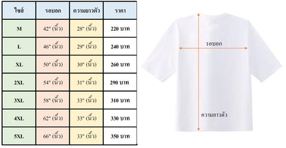เสื้อยืด ริ้วใหญ่